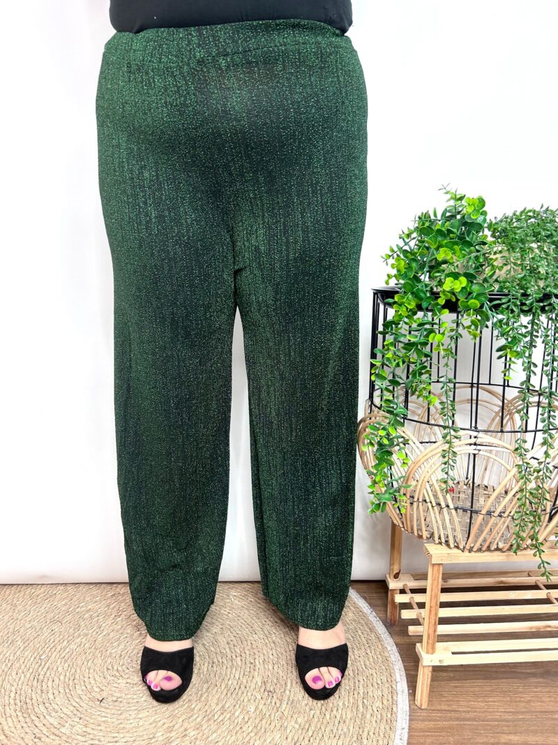 Pantalon Rodenas