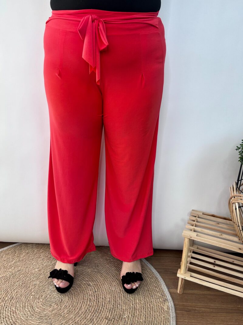 Pantalon Texas - Imagen 16