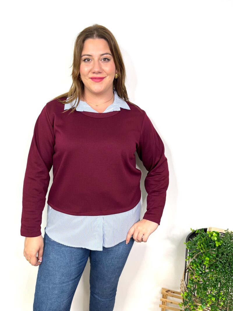 Sudadera Roldan - Imagen 3